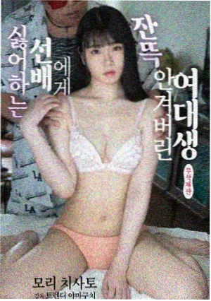 城南旧事录剧集海报